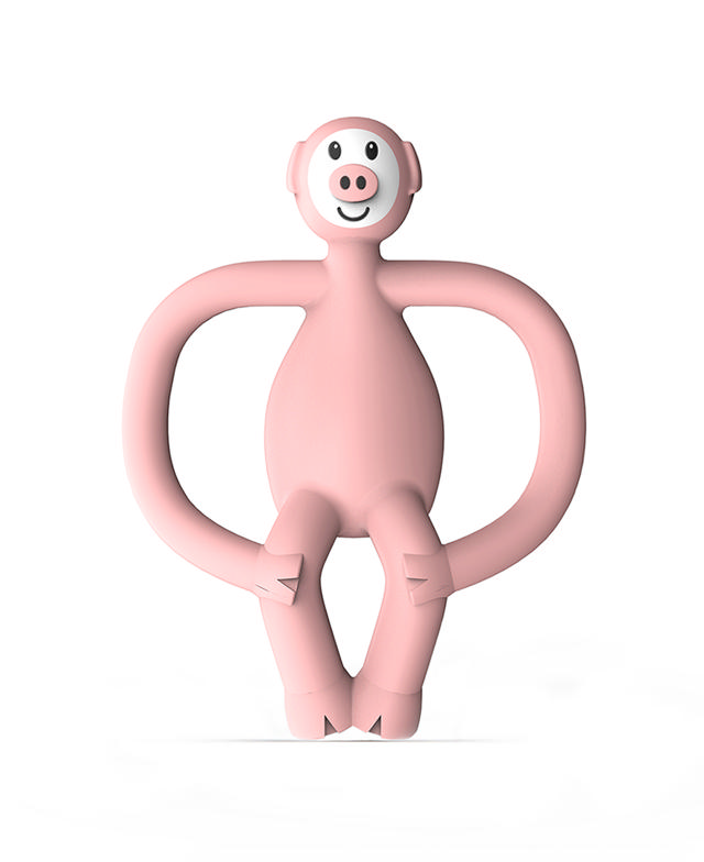 Matchstick Monkey Animal Cochon